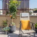 Eagle Nest Roma